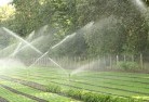 Coles Baylandscaping-water-management-and-drainage-17.jpg; ?>